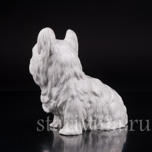 Фарфоровая статуэтка собаки Скай терьер, Augarten, Австрия.
