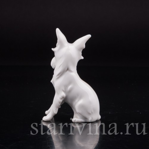Фарфоровая статуэтка собаки Гриффон, миниатюра, Augarten, Австрия, сер. 20 века.