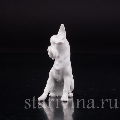 Фарфоровая статуэтка собаки Гриффон, миниатюра, Augarten, Австрия, сер. 20 века.