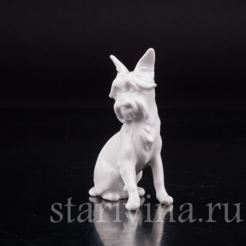 Фарфоровая статуэтка собаки Гриффон, миниатюра, Augarten, Австрия, сер. 20 века.