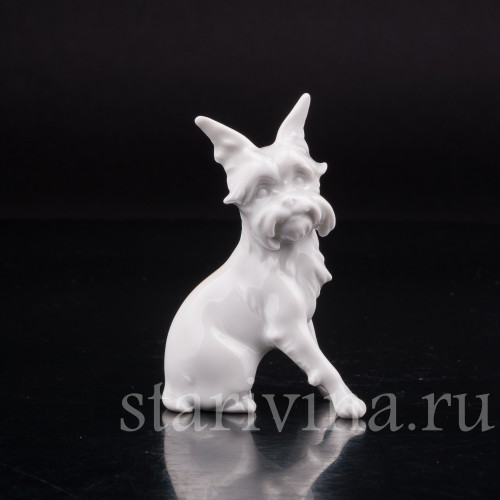 Фарфоровая статуэтка собаки Гриффон, миниатюра, Augarten, Австрия, сер. 20 века.