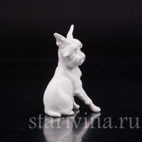 Фарфоровая статуэтка собаки Гриффон, миниатюра, Augarten, Австрия, сер. 20 века.