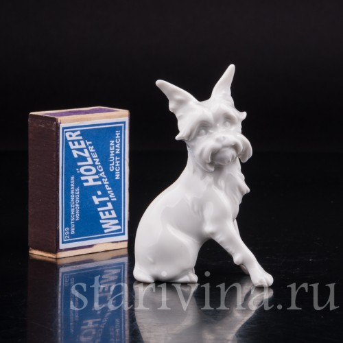 Фарфоровая статуэтка собаки Гриффон, миниатюра, Augarten, Австрия, сер. 20 века.