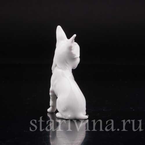 Фарфоровая статуэтка собаки Гриффон, миниатюра, Augarten, Австрия, сер. 20 века.