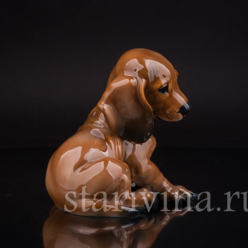 Щенок таксы, Rosenthal, Германия