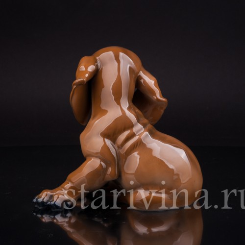 Щенок таксы, Rosenthal, Германия