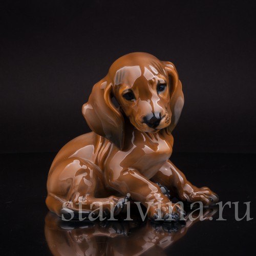 Щенок таксы, Rosenthal, Германия