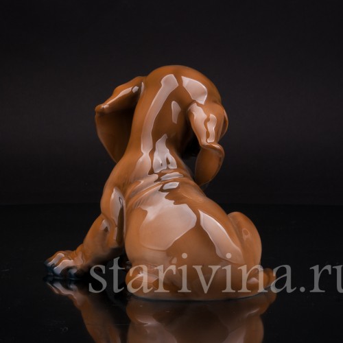 Щенок таксы, Rosenthal, Германия