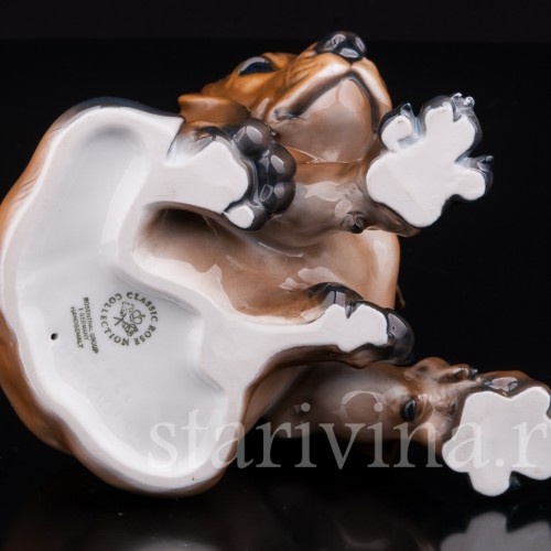 Щенок таксы, Rosenthal, Германия