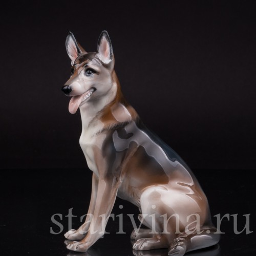 Статуэтка собаки из фарфора Сидящая овчарка, Rosenthal, Германия, 1956 год.