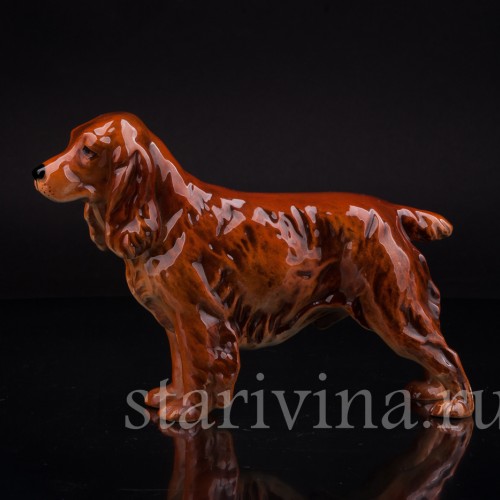 Спаниель, Goebel, Германия