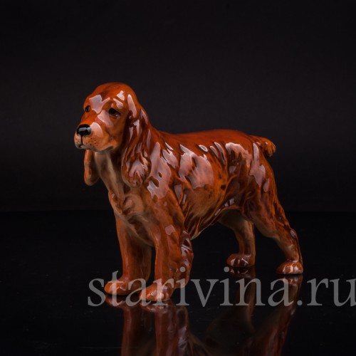 Спаниель, Goebel, Германия