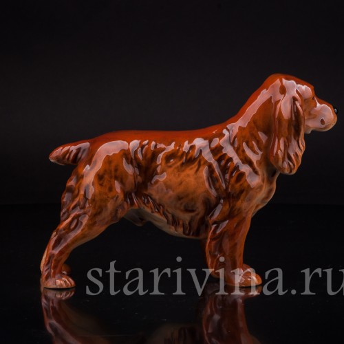 Спаниель, Goebel, Германия