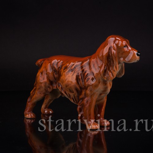 Спаниель, Goebel, Германия