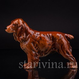 Спаниель, Goebel, Германия