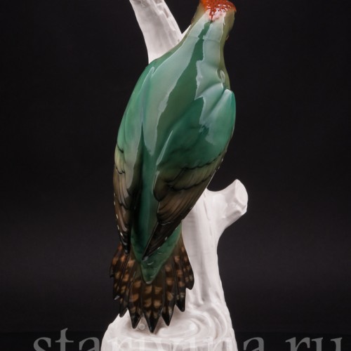 Зеленый дятел, Schwarzburger, Германия