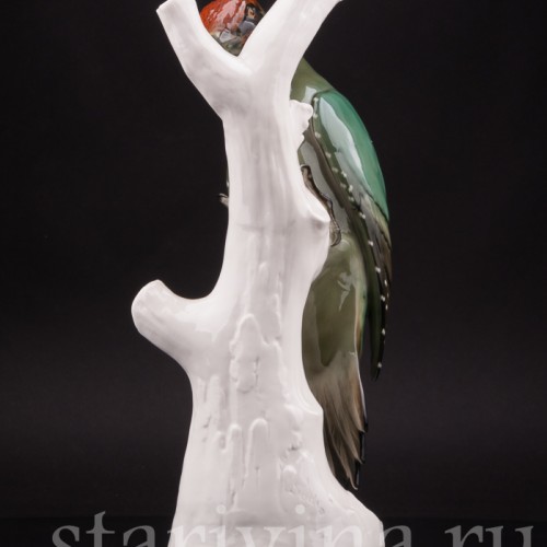 Зеленый дятел, Schwarzburger, Германия