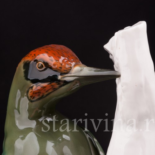 Зеленый дятел, Schwarzburger, Германия