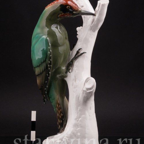 Зеленый дятел, Schwarzburger, Германия