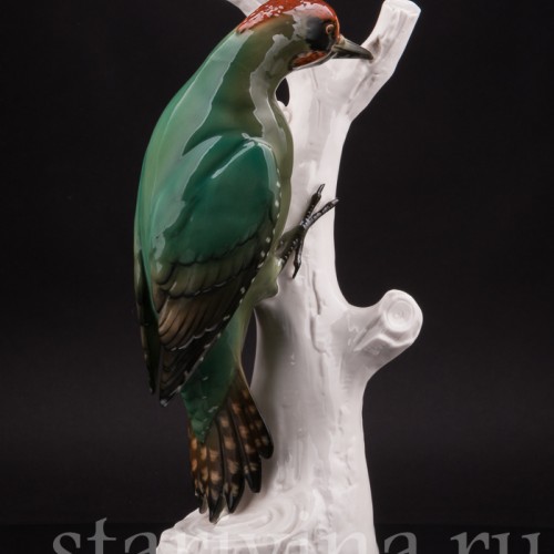 Зеленый дятел, Schwarzburger, Германия