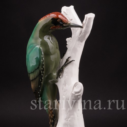 Зеленый дятел, Schwarzburger, Германия