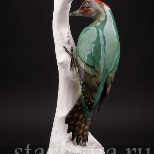 Зеленый дятел, Schwarzburger, Германия