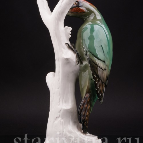 Зеленый дятел, Schwarzburger, Германия