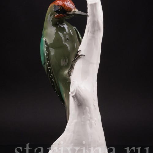 Зеленый дятел, Schwarzburger, Германия