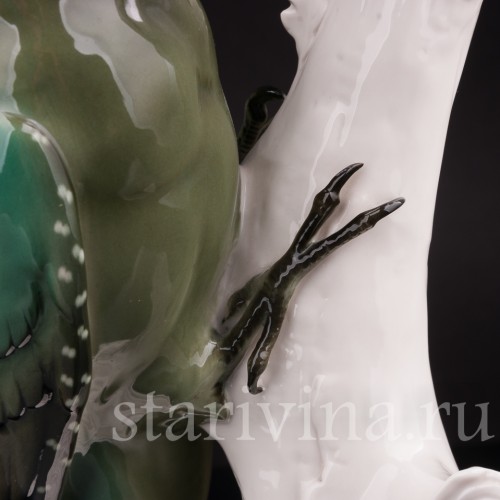 Зеленый дятел, Schwarzburger, Германия