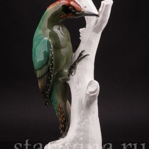 Зеленый дятел, Schwarzburger, Германия