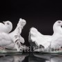 Парные фарфоровые статуэтки птиц Голубь и голубка, Rosenthal, Германия, 1950 гг.