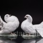 Парные фарфоровые статуэтки птиц Голубь и голубка, Rosenthal, Германия, 1950 гг.