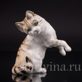 Фигурка из фарфора Рыжий кот, Hutschenreuther, Германия, 1945-49 гг.