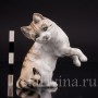 Фигурка из фарфора Рыжий кот, Hutschenreuther, Германия, 1945-49 гг.