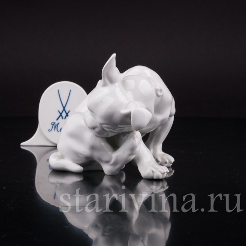 Фигурка собаки из фарфора Французский бульдог, Meissen, Германия, 1997 г.