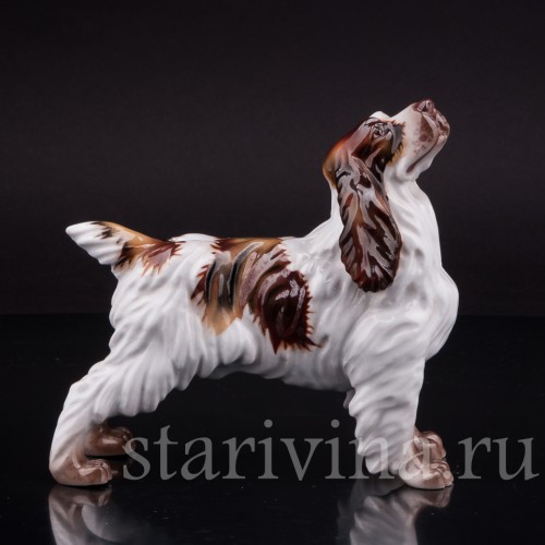 Фарфоровая статуэтка собаки Спаниель, Италия, вт пол. 20 века.
