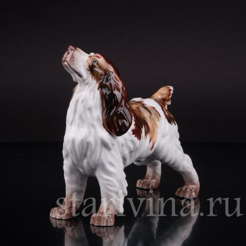 Фарфоровая статуэтка собаки Спаниель, Италия, вт пол. 20 века.