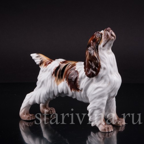 Фарфоровая статуэтка собаки Спаниель, Италия, вт пол. 20 века.