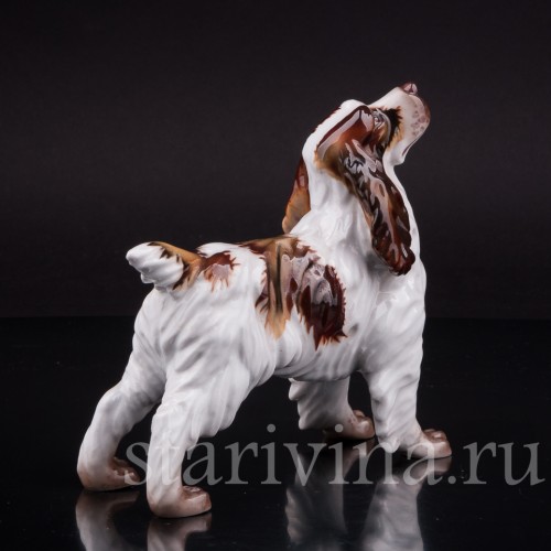 Фарфоровая статуэтка собаки Спаниель, Италия, вт пол. 20 века.