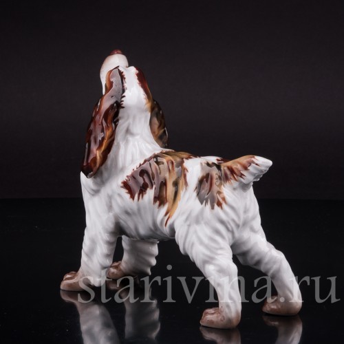 Фарфоровая статуэтка собаки Спаниель, Италия, вт пол. 20 века.