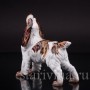 Фарфоровая статуэтка собаки Спаниель, Италия, вт пол. 20 века.
