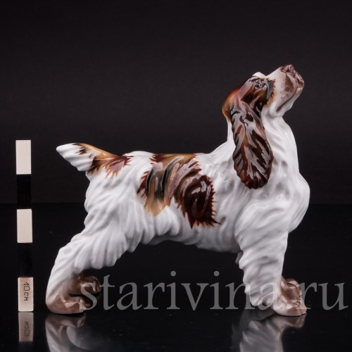 Фарфоровая статуэтка собаки Спаниель, Италия, вт пол. 20 века.