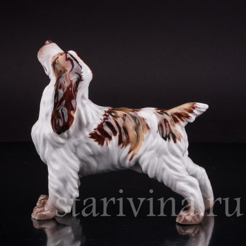 Фарфоровая статуэтка собаки Спаниель, Италия, вт пол. 20 века.
