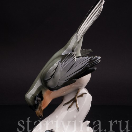 Фигурка птицы из фарфора Сорокопут, Schwarzburger, Германия, перв. пол. 20 в.