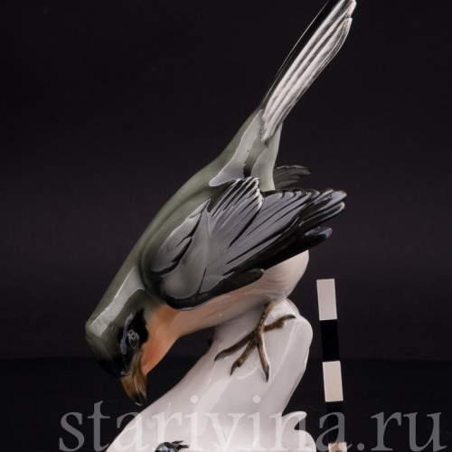 Фигурка птицы из фарфора Сорокопут, Schwarzburger, Германия, перв. пол. 20 в.