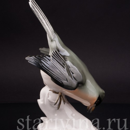 Фигурка птицы из фарфора Сорокопут, Schwarzburger, Германия, перв. пол. 20 в.