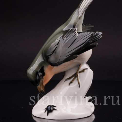 Фигурка птицы из фарфора Сорокопут, Schwarzburger, Германия, перв. пол. 20 в.