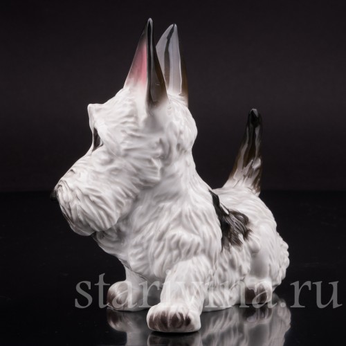 Фигурка собаки из фарфора Скотчтерьер гротеск, миниатюра, Rosenthal, Германия, 1939 г.