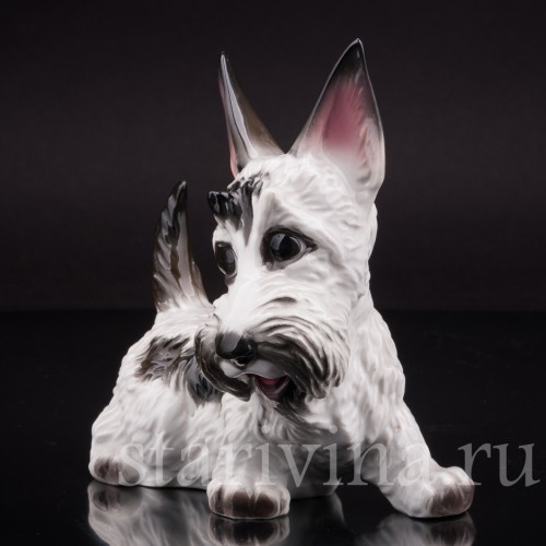 Фигурка собаки из фарфора Скотчтерьер гротеск, миниатюра, Rosenthal, Германия, 1939 г.