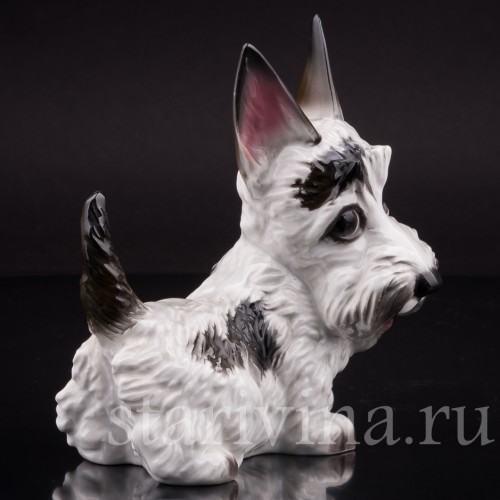 Фигурка собаки из фарфора Скотчтерьер гротеск, миниатюра, Rosenthal, Германия, 1939 г.